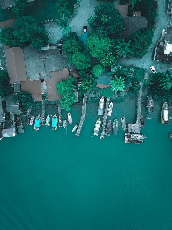Aerial top view of many boats moored on peaceful sea surface near piers and coastal green settlement